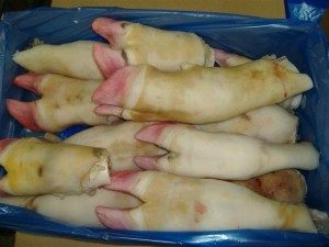 Buy wholesale halal Frozen Cow Leg - Aurora Alimentos