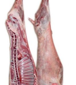 buy wholesale Frozen Lamb Half Carcass -Aurora Alimentos