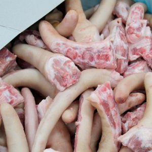Wholesale Frozen Pork Tail - Aurora Alimentos