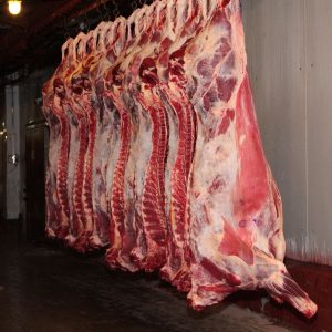 buy wholesale Frozen Whole Buffalo Carcass - Aurora Alimentos